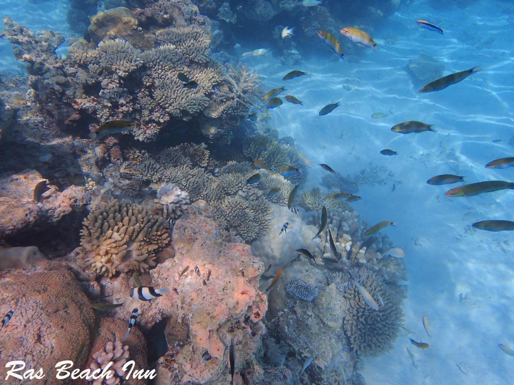 Ras Beach Inn Rasdhoo Exterior foto