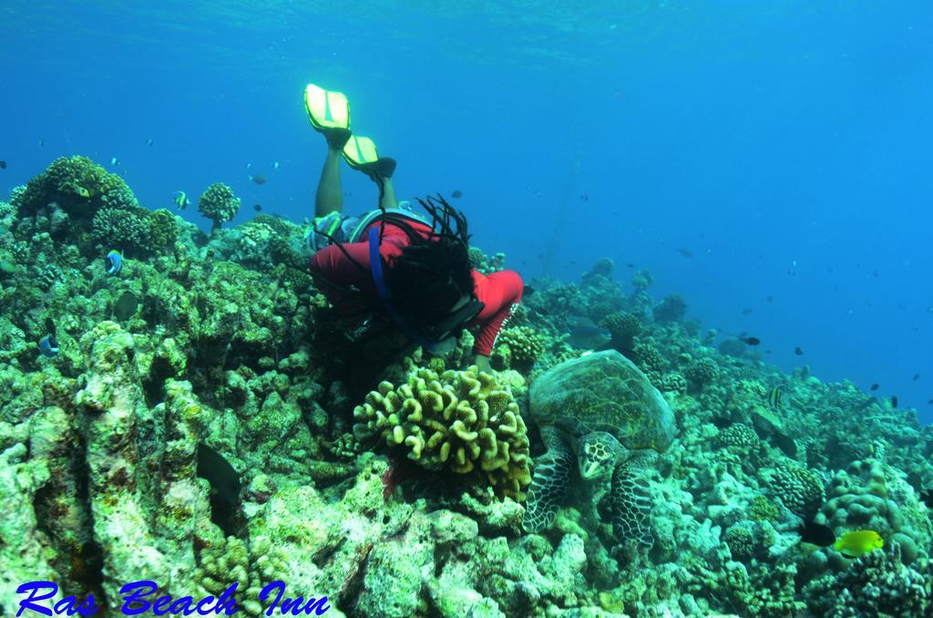 Ras Beach Inn Rasdhoo Exterior foto
